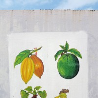 Sao Tomè,murale che raffigura la carambòla,la fruta-pao,la matabala e la banana